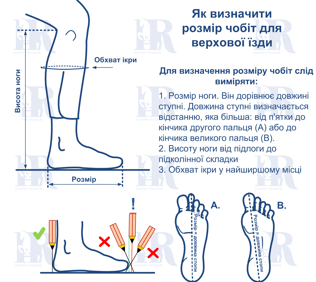 Розміри чобіт для верхової їзди